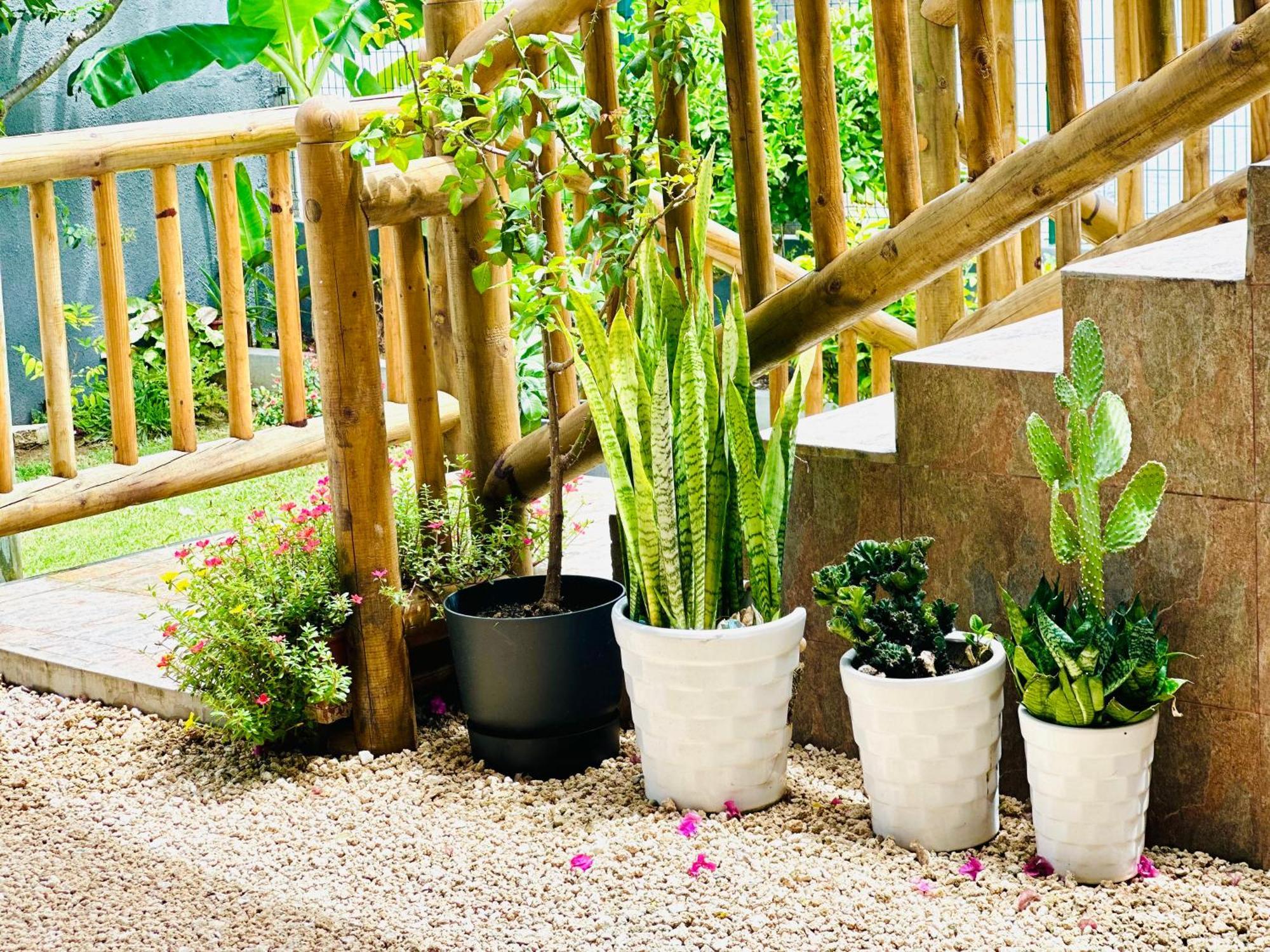 Lavender Hotel Ле Морн Екстериор снимка
